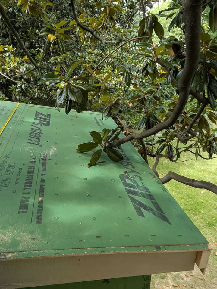 Roof decking